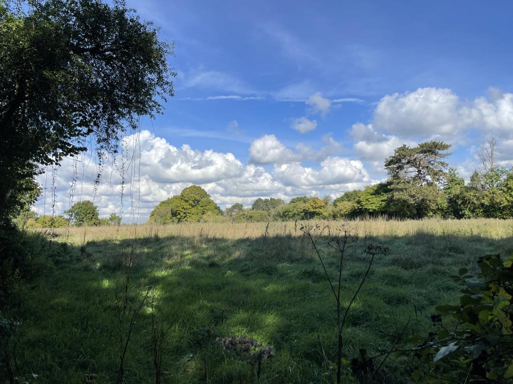 Lot: 29 - 3.73 ACRES PARCEL OF LAND WITH ROAD FRONTAGE - 